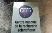 Cancer du pancréas : des avancées majeures après 40 ans de stagnation