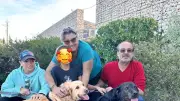 Cannelle et Moustache : deux labradors adoptées ensemble à Noël