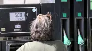 Carburants : pourquoi les prix baissent plus lentement qu'ils ne montent ?