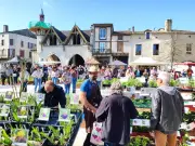 Castillonnès célèbre le printemps avec sa 3e Fête des Fleurs le 5 avril