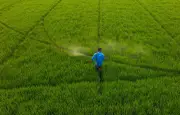 Charente-Maritime : perquisitions dans des exploitations pour pesticides non autorisés