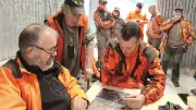 Chasse au sanglier dans l'Hérault : un bilan positif mais des comportements préoccupants