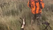Chasse : moins de 500 000 chasseurs en 2040, le livre blanc qui prône une réforme