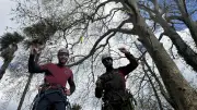 Compétition d'arboristes grimpeurs dans le Gard : 72 participants pour un spectacle aérien