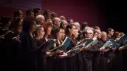 Concert sud-américain : tango et bossa nova à Clermont-l'Hérault