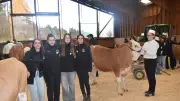 Concours Jeunes Meneurs : des étudiants lozériens valorisent l'élevage et la conduite animale