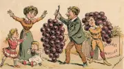 Conférence exceptionnelle sur l'histoire des vins d'exception dans l'Hérault