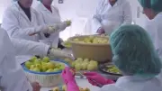 Conférence à Grabels : les coopératives libanaises inspirent la transition alimentaire