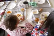 Conseil municipal de Pessac : vifs échanges sur les services aux familles monoparentales