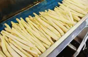 Découverte des asperges à Arengosse : visite et dégustation à l'EARL Casty
