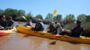 Découverte du Bagnas en canoë sur le Canal du Midi : une balade nature unique