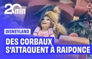 Des corbeaux attaquent la chevelure de Raiponce dans un parc Disney japonais