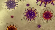 Deux cas de coronavirus MERS identifiés en France : un cousin plus mortel du Covid-19