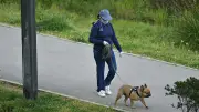 Déjections canines à Poilhes : la mairie durcit le ton avec des amendes