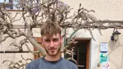 Domaine Lupia : médaille d'or pour sa première vinification en cave particulière