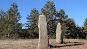 En Lozère : balade aux menhirs, réunion forestière et portes ouvertes