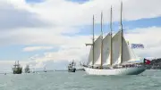 Escale à Sète 2026 : les meilleurs spots pour admirer la parade finale des voiliers