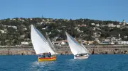 Escale à Sète 2026 : Une journée maritime riche en animations ce samedi 4 avril