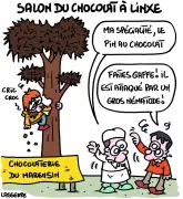 Eva Belin se tourne vers le privé, le RN cite Giscard, et le Seignanx ostracise Ondres