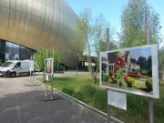 Expo Martin Parr gratuite à la Cité du vin de Bordeaux jusqu'au 20 septembre