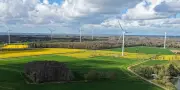 Face à la crise énergétique, colza et tournesol unissent leurs forces