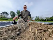 Fargues-sur-Ourbise célèbre 50 ans d'asperges : une tradition menacée par le déclin des producteurs