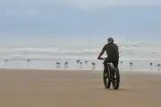 Fatbikes en Charente-Maritime : une réglementation assouplie pour concilier écologie et tourisme