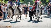 Feria de Pentecôte à Nîmes : le Jean-Jaurès monte en puissance