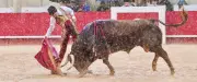 Feria des Vendanges : Marco Perez triomphe sous la pluie à Nîmes
