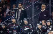 Finale de hockey : les Boxers de Bordeaux face aux Brûleurs de Loups de Grenoble à Mériadeck