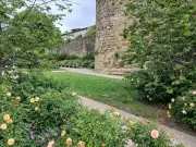 Foire de mai à Cadillac : 3 jours de fête du 1er au 3 mai