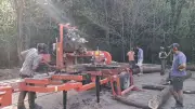 Formation aux métiers du bois au mas Lafont : une initiative prometteuse