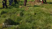 Formation tronçonneuse en sécurité : une initiative vitale pour les agriculteurs de l'Hérault