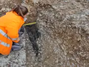 Fouilles à Saint-Georges-des-Coteaux : vestiges du Néolithique au XVIIIe siècle