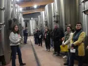 France Travail organise une visite viticole pour promouvoir les emplois du vin en Haute-Gironde