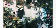 François Halard explore l'ambiguïté entre photographie et peinture dans ses boîtes à images