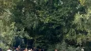 Free parties dans l'Hérault : un organisateur dénonce la répression après la saisie de son matériel