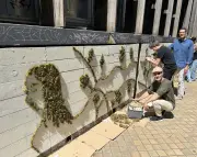 Fresque végétale au lycée des Menuts : une œuvre collective en mousse naturelle