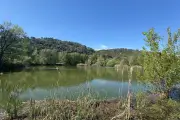 Fête des espaces naturels à Hyères : animations et découvertes ce week-end