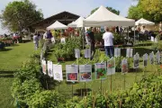 Fête des plantes à Cozes : un succès inattendu pour la première édition