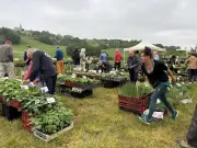 Fête des plantes réussie au Biau Germe : 31 exposants et ateliers variés