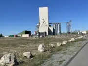 Fusion des coopératives agricoles en Charente-Maritime pour renforcer les filières locales