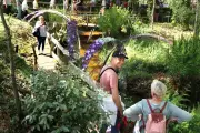 Garéin : Les Floralies 2025 célèbrent l'enfance avec un décor japonais