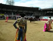 Garlin célèbre sa 24e Journée taurine de printemps avec le retour de l'élevage Pincha