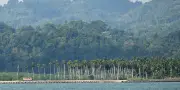 Grande Nicobar, sanctuaire de biodiversité, menacé par un projet de développement