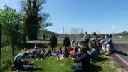 Greffes pédagogiques au parc de loisirs avec la Transfruitière