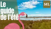 Guide Midi Libre : 6 délices du Gard à savourer cet été