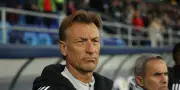 Hervé Renard limogé de son poste de sélectionneur de l'Arabie saoudite