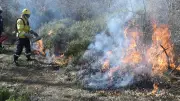 Hérault : viticulteurs sensibilisés aux risques d'incendie des écobuages