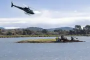 Hyères : des îlots remodelés pour protéger la nidification des oiseaux aux Vieux Salins